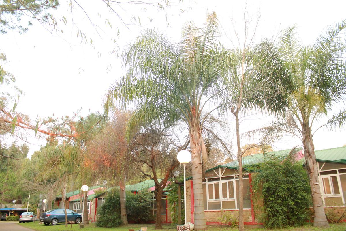Chalet Bungalows Termas De El Pinar *